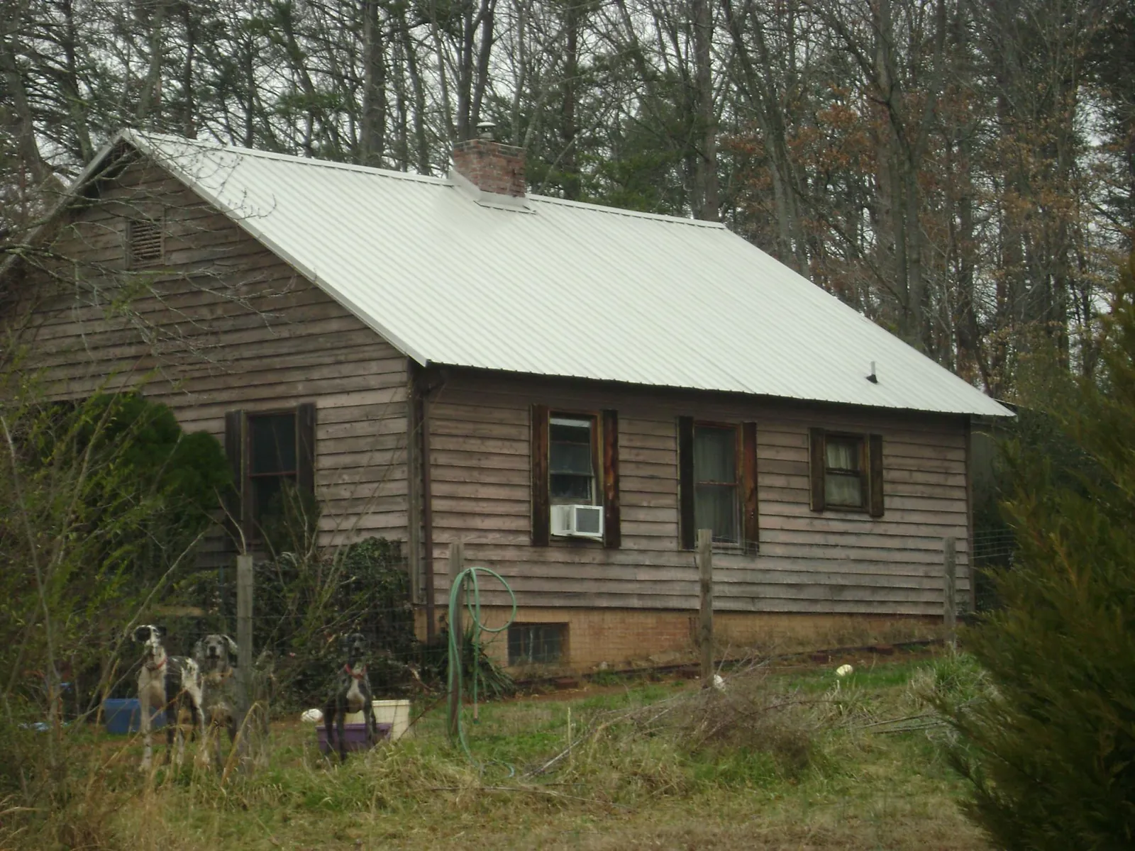White metal roof on an old wood sided farmhouse, from a Metal Roof Installation job in Caret